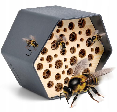  MODERN HOTEL FOR BEES UL HOUSE CAPI EUROPE