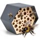  MODERN HOTEL FOR BEES UL HOUSE CAPI EUROPE