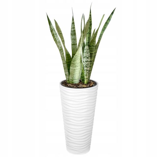  Form-Plastic flowerpot 30 cm x 30 x 56 cm diameter 30 cm plastic white