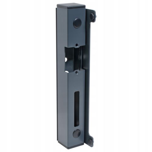 ELECTRIC LOCK HOUSING CASSETTE FOR ANTHRACITE GATE