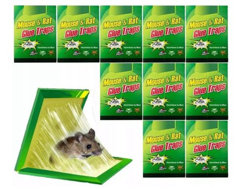  Stick Green trap against mice and rats