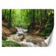 PHOTO WALLPAPER Water in the middle of the forest 200x140