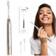  IONPA Home ION Toothbrush Gold ionic sound