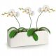 Pots and planters for outdoor and garden Polnix flowerpot 38 cm x 16 x 13 cm diameter 16 cm ceramic white