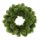  China wreath large Erbis