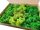 Decorative Moss Reindeer Crab Moss 3 Colors MIX Premium