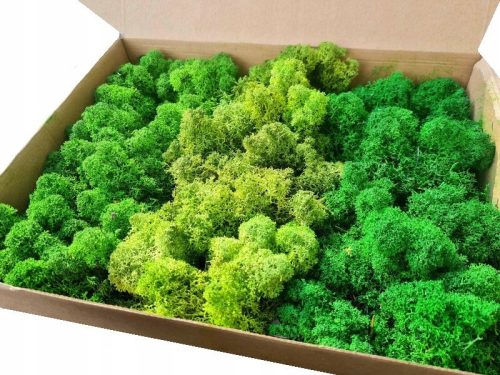 Decorative Moss Reindeer Crab Moss 3 Colors MIX Premium