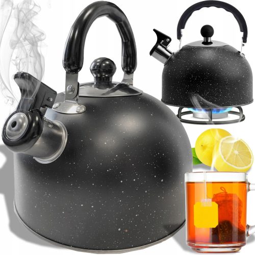 Kettles and teapots Retoo traditional steel kettle 2.5 l, black