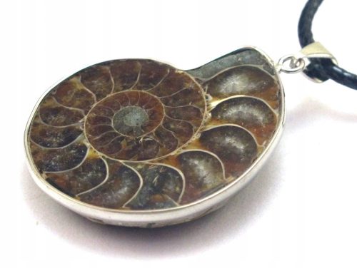  AMMONITE FOSSIL PENDANT necklace [W1401]