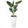  Form-Plastic flowerpot 35 cm x 35 x 69 cm diameter 35 cm plastic white