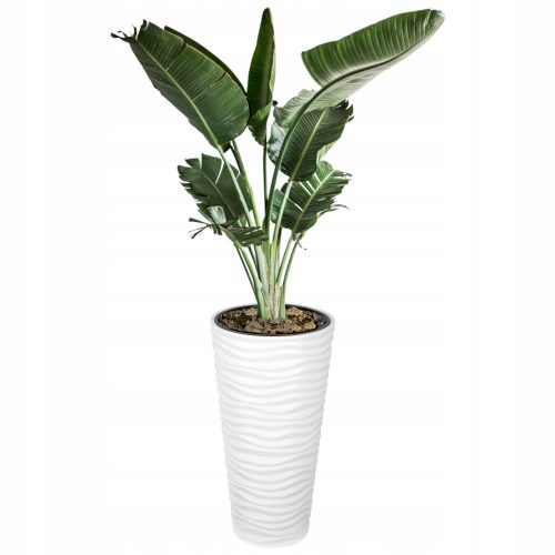  Form-Plastic flowerpot 35 cm x 35 x 69 cm diameter 35 cm plastic white