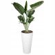  Form-Plastic flowerpot 35 cm x 35 x 69 cm diameter 35 cm plastic white