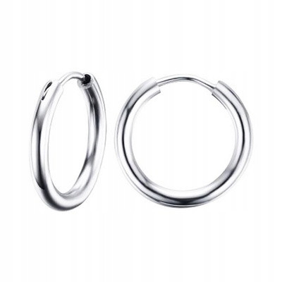  Stainless Steel Hoop Earrings