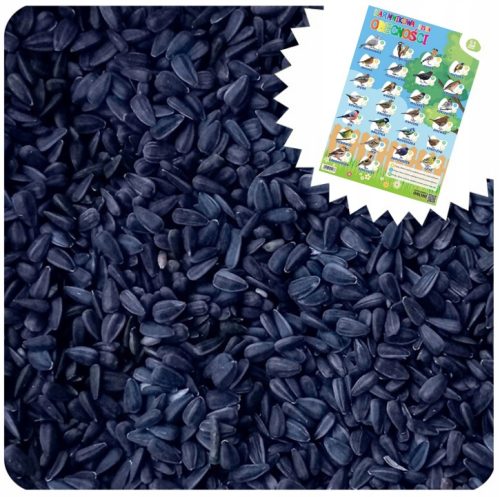  BLACK SUNFLOWER SEED FOOD FOR WILD BIRDS FOR FEEDER 10KG POSTER