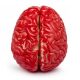  ARTIFICIAL BRAIN HALLOWEEN DECORATION ZOMBIE HORROR