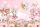 Photo wallpaper FOR A GIRL, PINK BALLERINAS 294x260 RB03