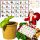  ADVENT CALENDAR Plants to Grow DIY Set 24 Boxes Gift Christmas