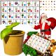  ADVENT CALENDAR Plants to Grow DIY Set 24 Boxes Gift Christmas