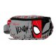  SPIDERMAN VENOM WALL BAG for a boy