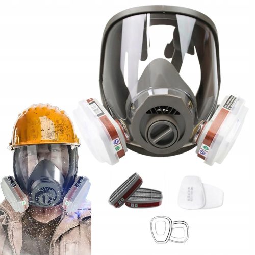 6001 full-face dust mask