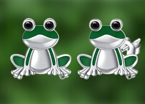  Frog Earrings Frog Beautiful Silver Studs