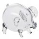  KROSNO piggy bank made of glass, transparent, smooth and easy to break