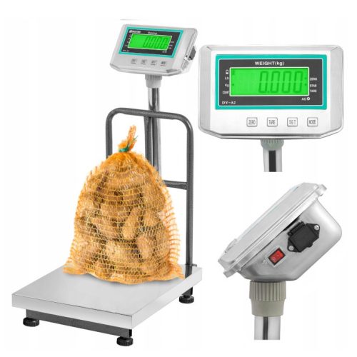 Sensorwag platform scale 300 kg x 50 g