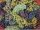  Vine of 6 varieties, easy to cultivate, 40-60 cm
