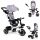 Tricycle, pushchair, stroller, 360 degree rotating, gray ECOTOYS