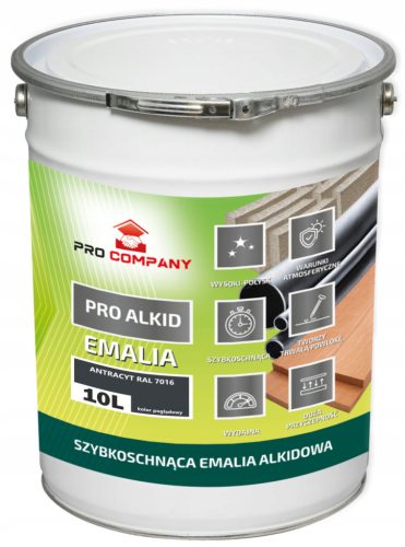 PRO ALKID Vernis alkyde à séchage rapide 10l anthracite RAL 7016