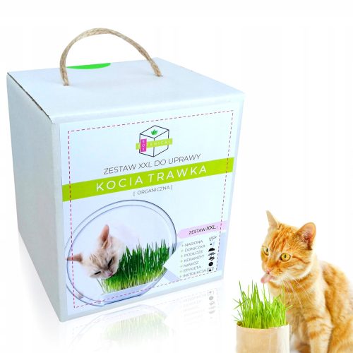  CAT GRASS FOR CAT SEEDS – XL GROWING KIT