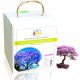  PAULOWNIA OXYGEN BONSAI TREE GROWING KIT XXL SEEDS – AS A GIFT