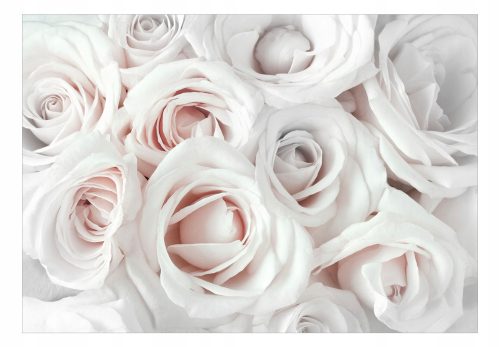 Photo wallpaper - Satin Rose (Pink) 400x280