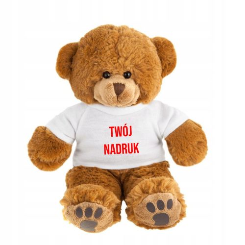  mascot, teddy bear, bear, logo, advertising, print