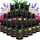 Essential Oils Set with 100% natural essential oils 200 ml ORGANIC