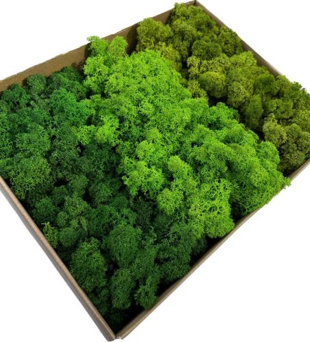 Decorative Moss Dekomoos in a box 300g 8 x 35cm