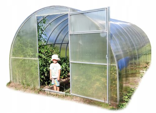 Polytunnel, panneaux en plastique Polytunnel 12 m² 600 x 300 cm transparent