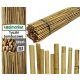 Garden posts for plants Rolmarket bamboo pole 180 cm x 14 mm 50 pcs.