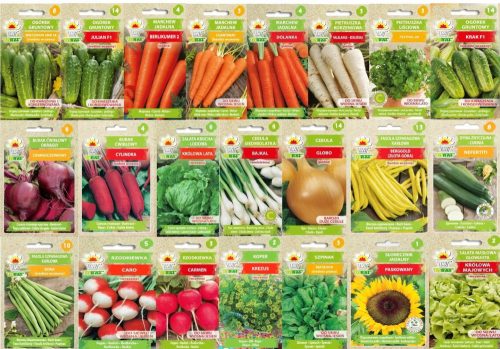  Spring Vegetable Seed Starter Kit – 22 Packs.