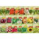  Spring Vegetable Seed Starter Kit – 22 Packs.