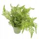  Artificial fern in a snow-covered pot, artificial flowers, Christmas decoration, 30 cm