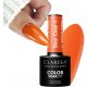  CLARESA ORANGE PUMPKIN HYBRID NAIL POLISH STAY COSY 4