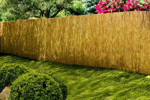 Reed mat, protective fence, fence 1.6x6.0 m