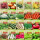  LARGE SET OF VEGETABLE SEEDS MIXTURE OF DIFFERENT VARIETIES EASY GROWTH 20 PACKS