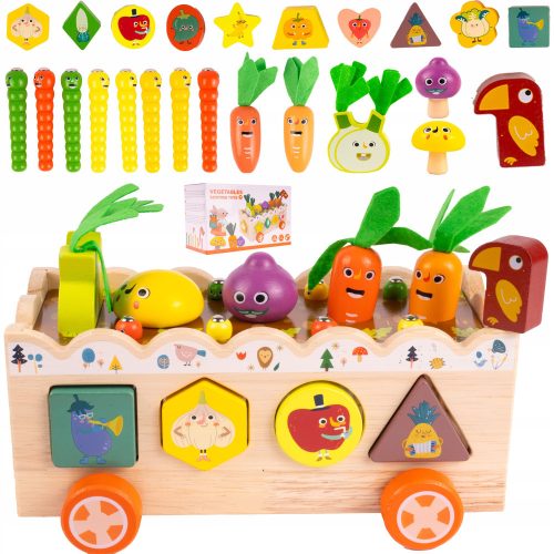  WOODEN GAME VEGETABLE SORTER MONTESSORI CATCH THE WORM PUZZLE BLOCKS