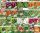  Vegetable Set SEEDS ON TAPE 25 Packs of Seeds