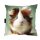 Pillow DecumDekumu sleeping pillow 40 x 40 cm