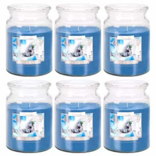 Candles Traditional paraffin candle ANTI TOBACCO Bispol 6 pcs.