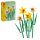  LEGO ICONS 40747 Daffodils