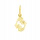  Gold pendant zodiac sign PISCES gold pr.585